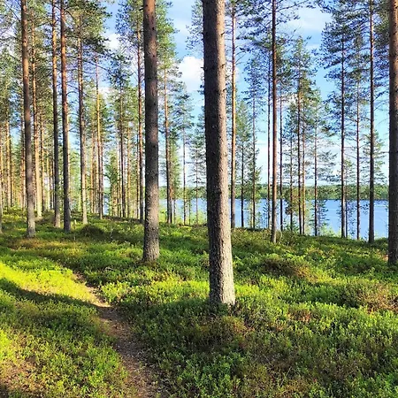 Lomamoekki Kuhmo, Tervatoermae Apartamento *